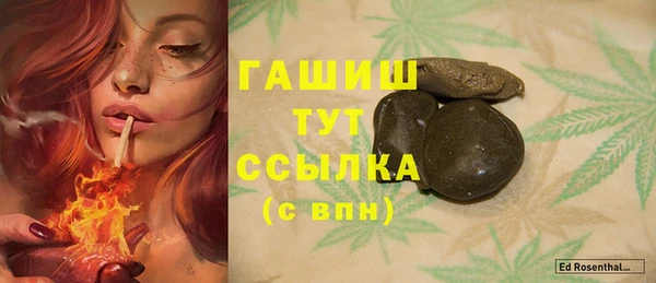 PSILOCYBIN Бородино