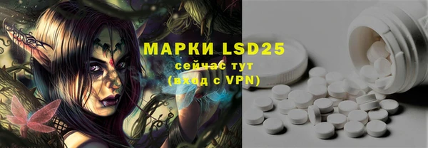 PSILOCYBIN Бородино