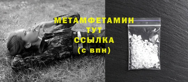 PSILOCYBIN Бородино