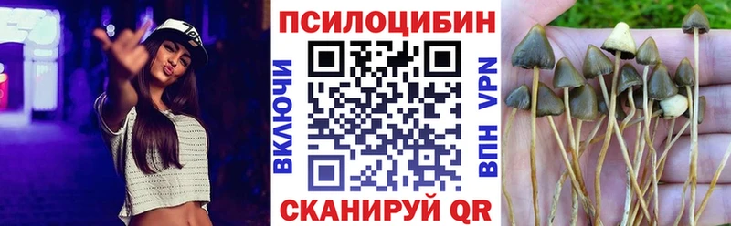 Псилоцибиновые грибы MAGIC MUSHROOMS  кракен зеркало  Десногорск 